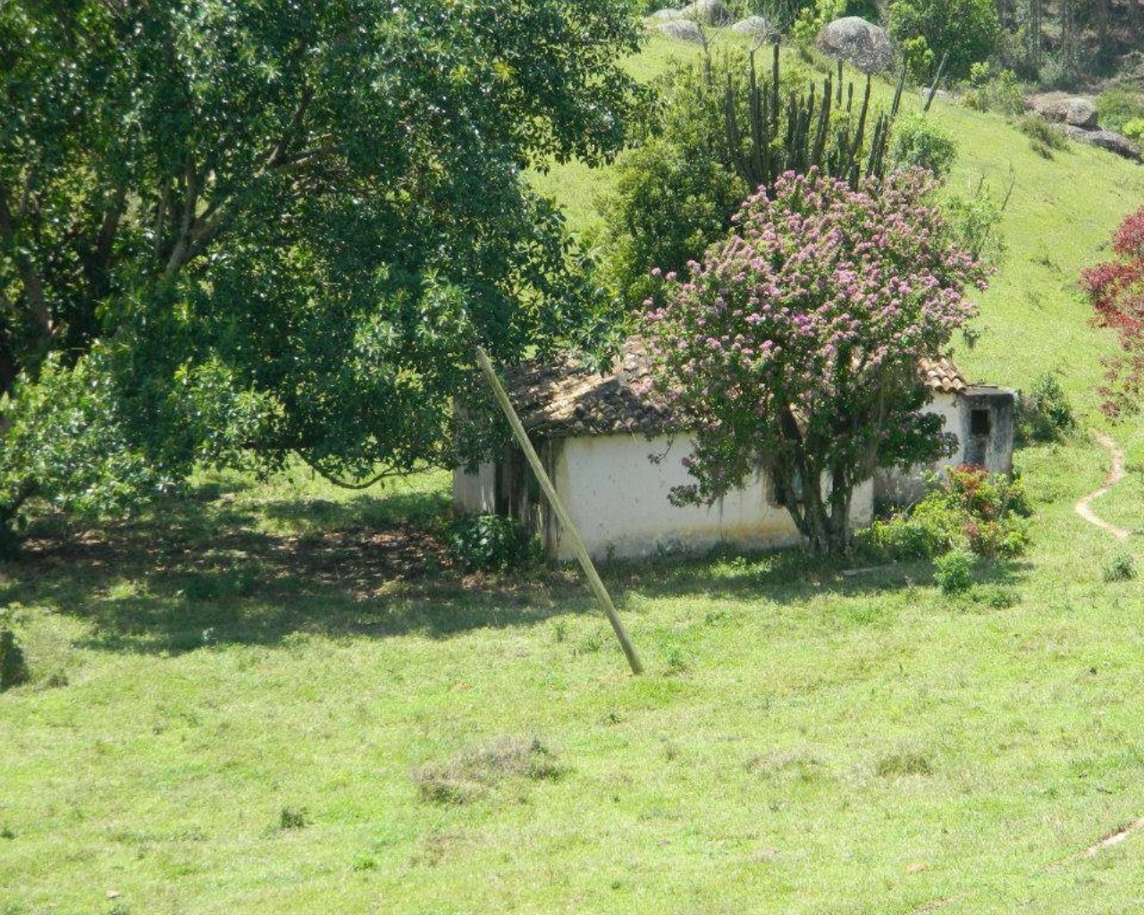 Fazenda à venda - Foto 14