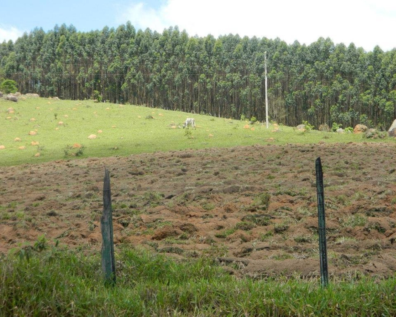 Fazenda à venda - Foto 15