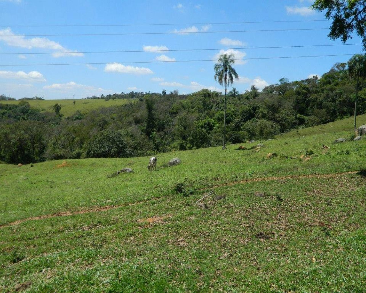 Fazenda à venda - Foto 16