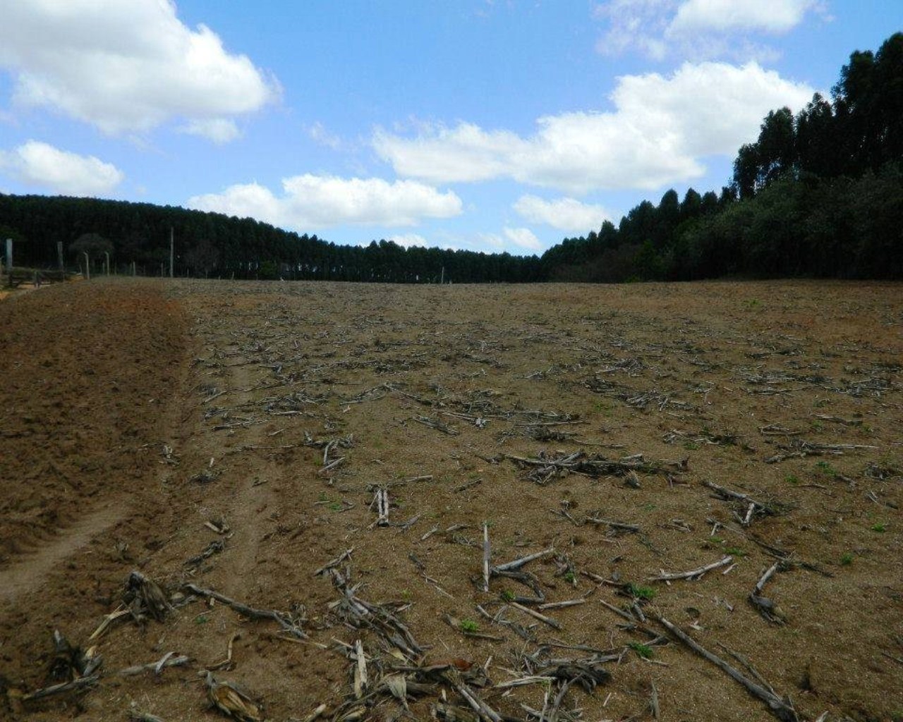 Fazenda à venda - Foto 18