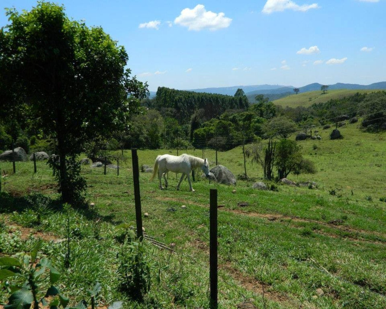 Fazenda à venda - Foto 25