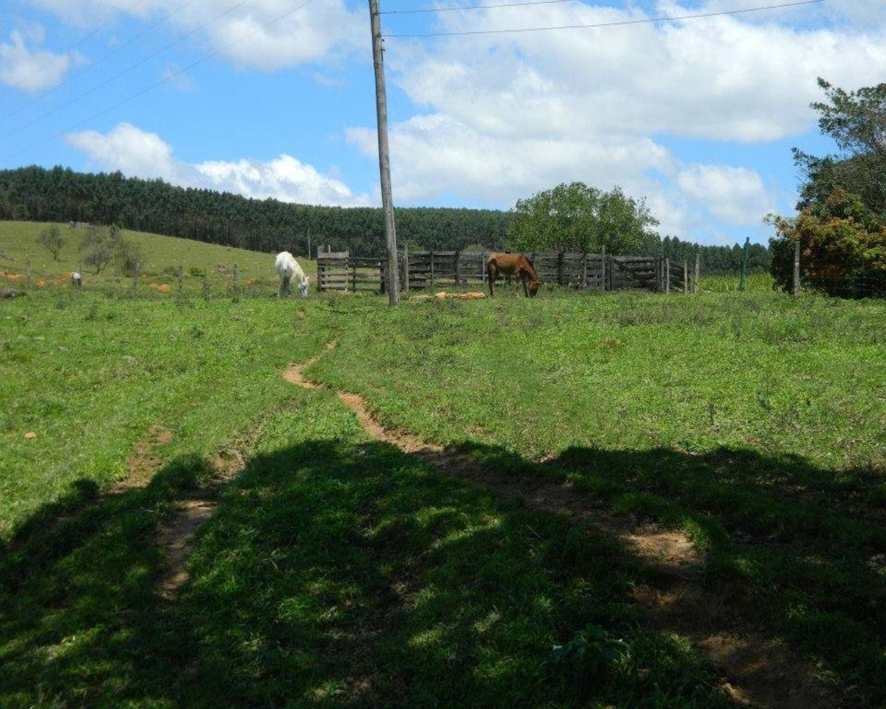 Fazenda à venda - Foto 28