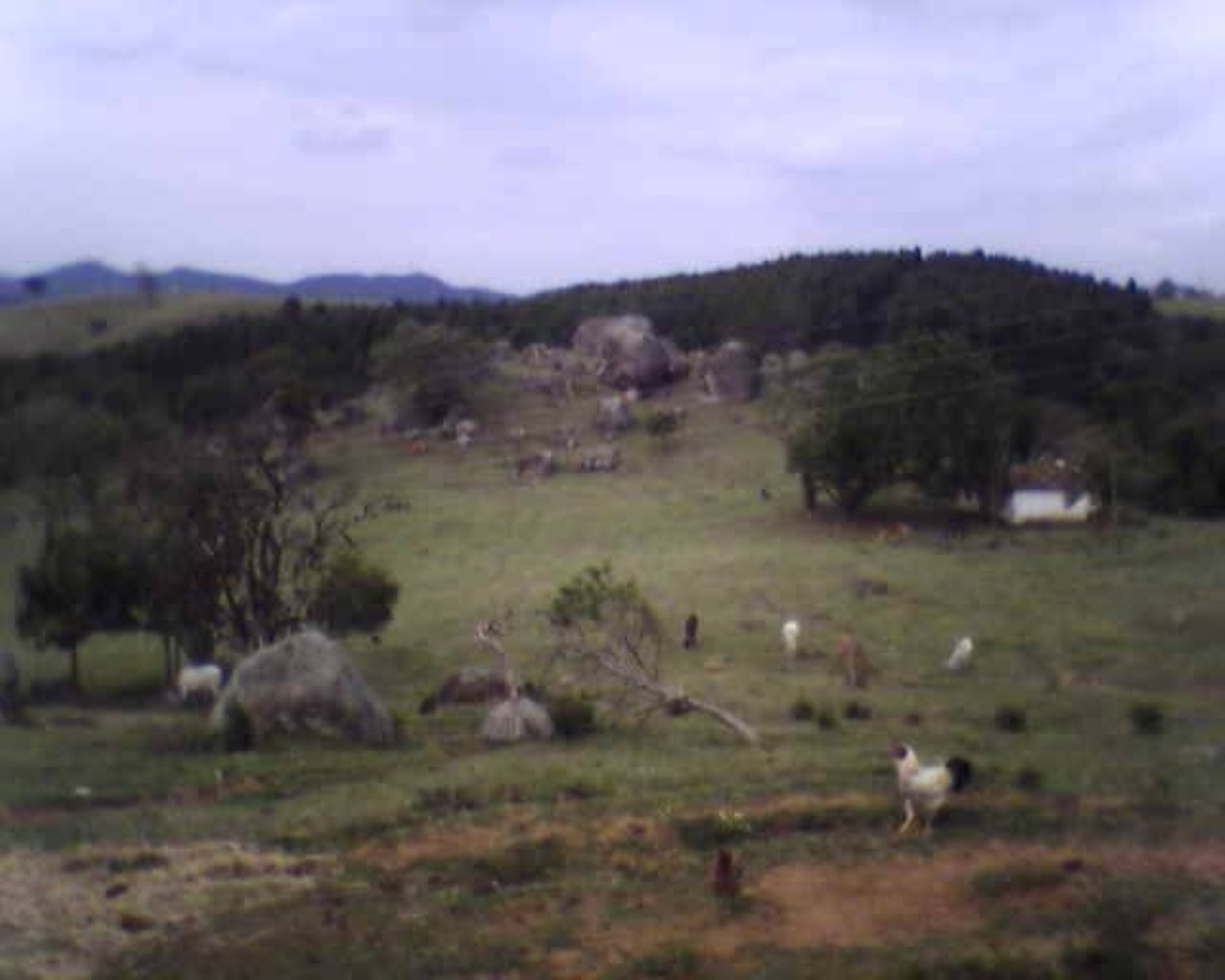 Fazenda à venda - Foto 32