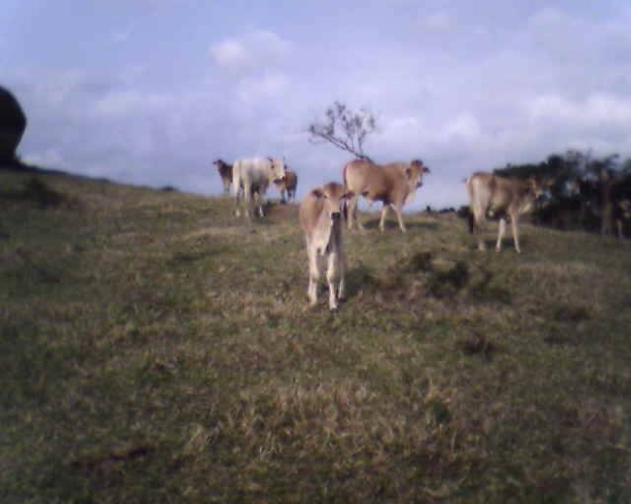 Fazenda à venda - Foto 33