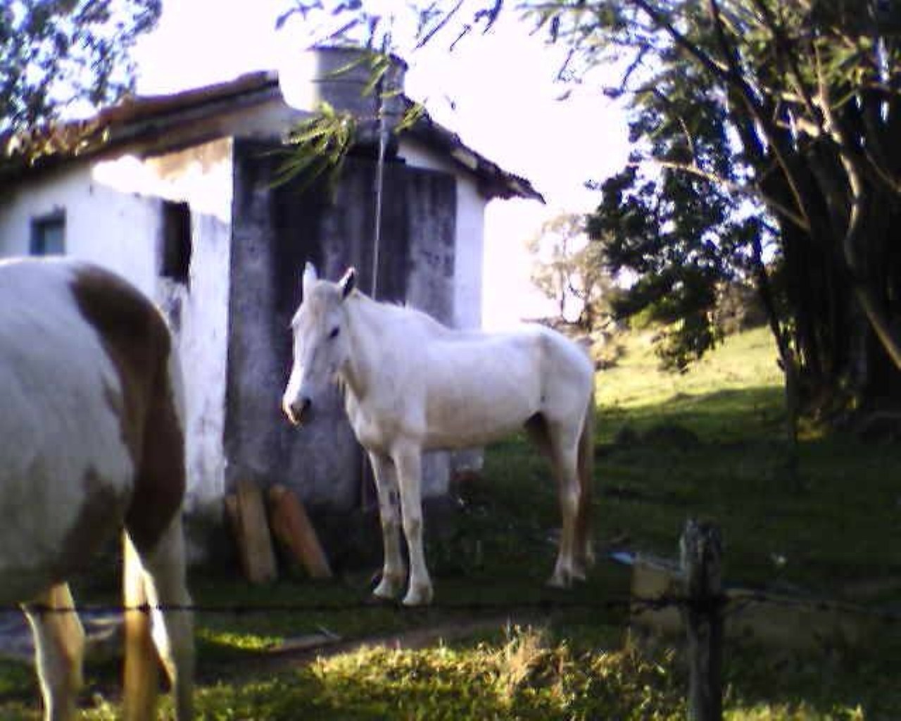 Fazenda à venda - Foto 36