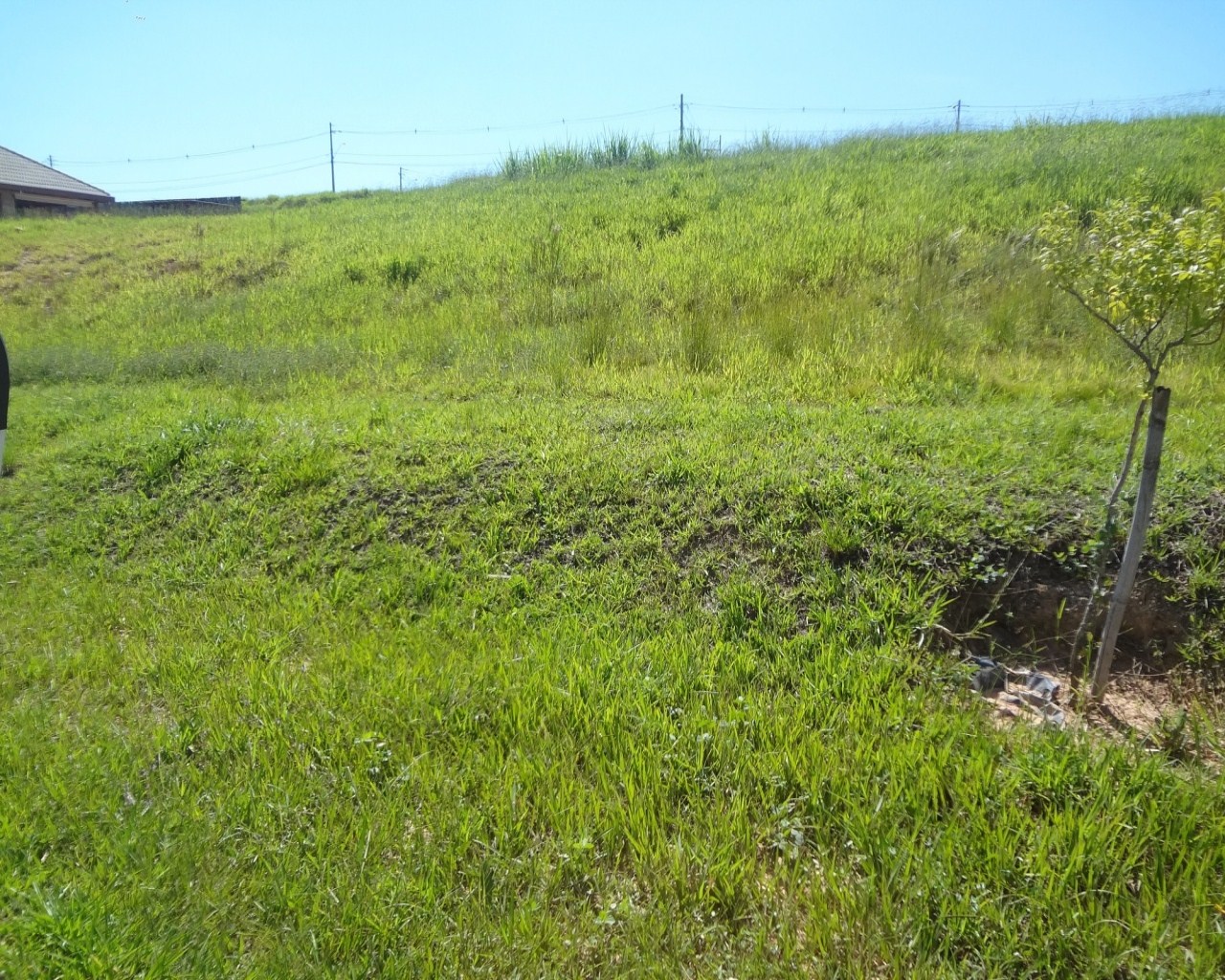 Terreno à venda - Foto 2