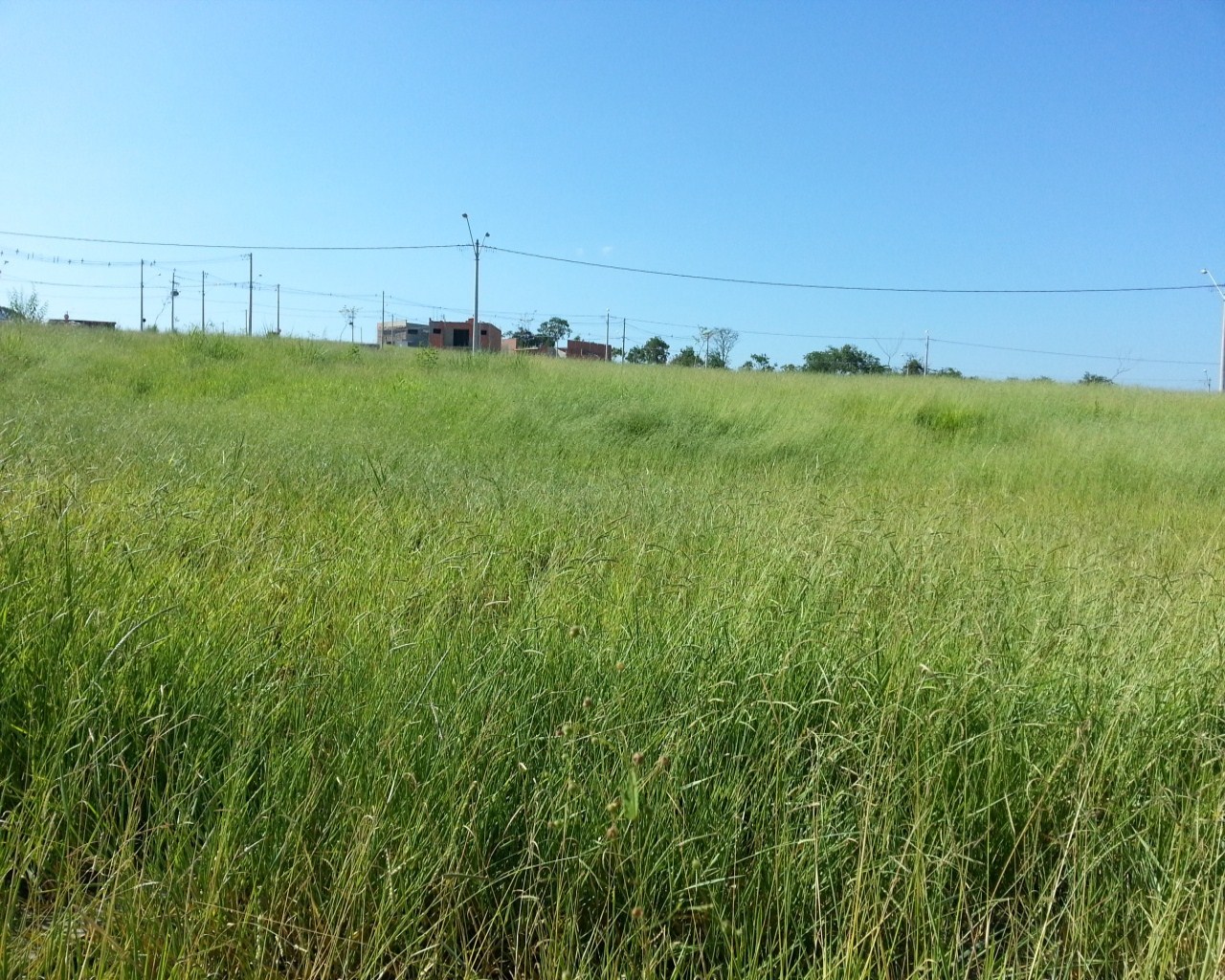 Terreno à venda - Foto 1