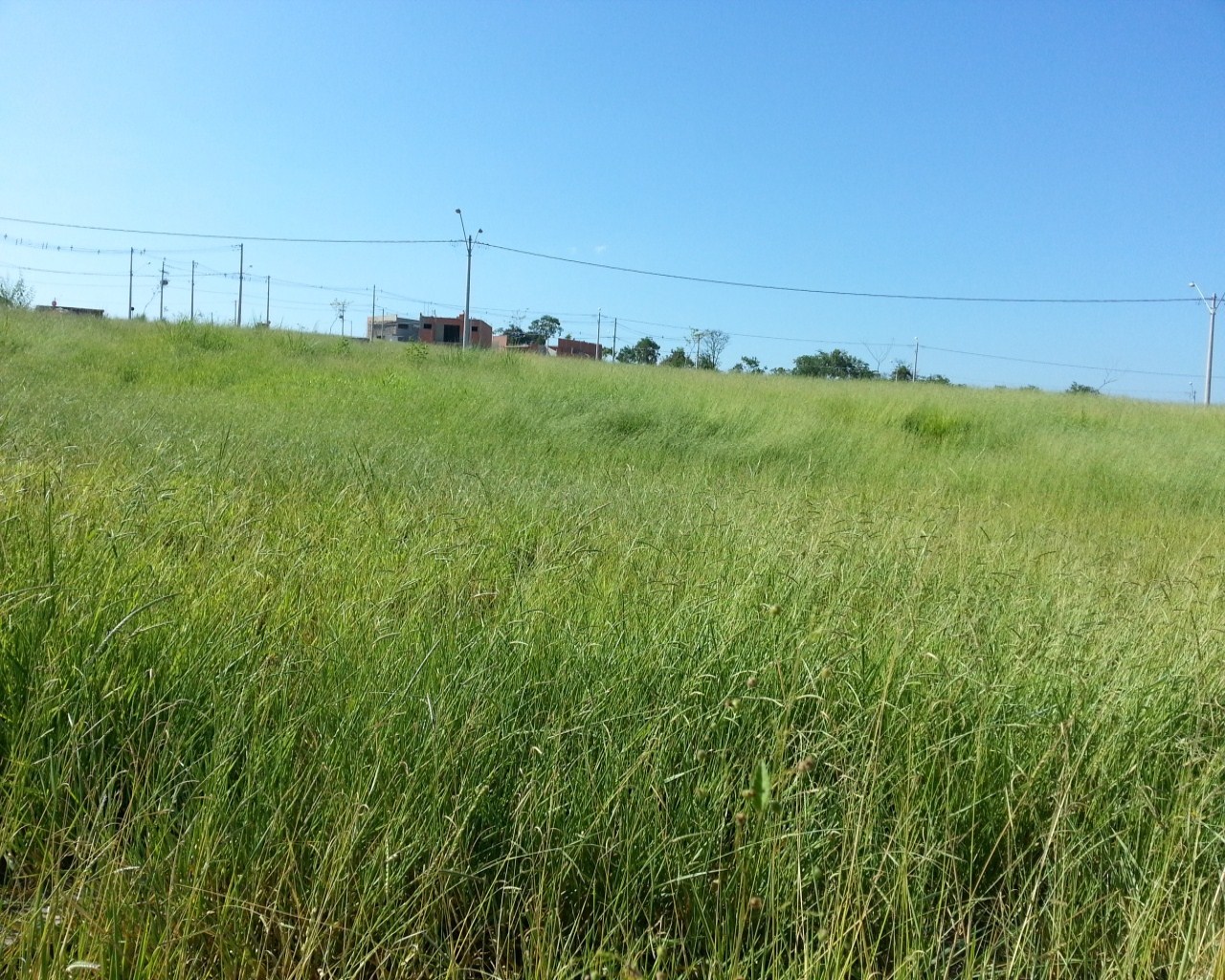 Terreno à venda - Foto 2