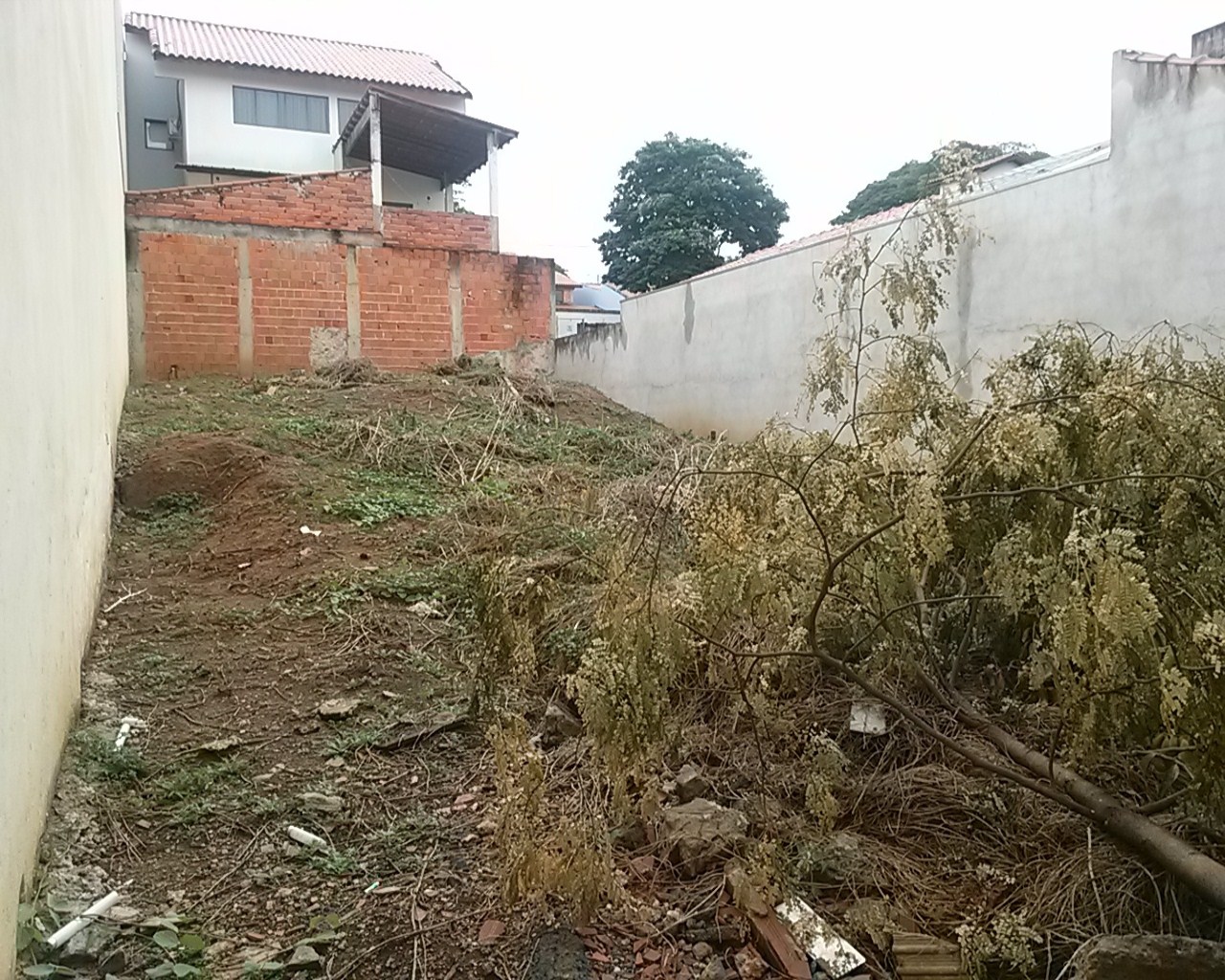 Terreno à venda, 250m² - Foto 1