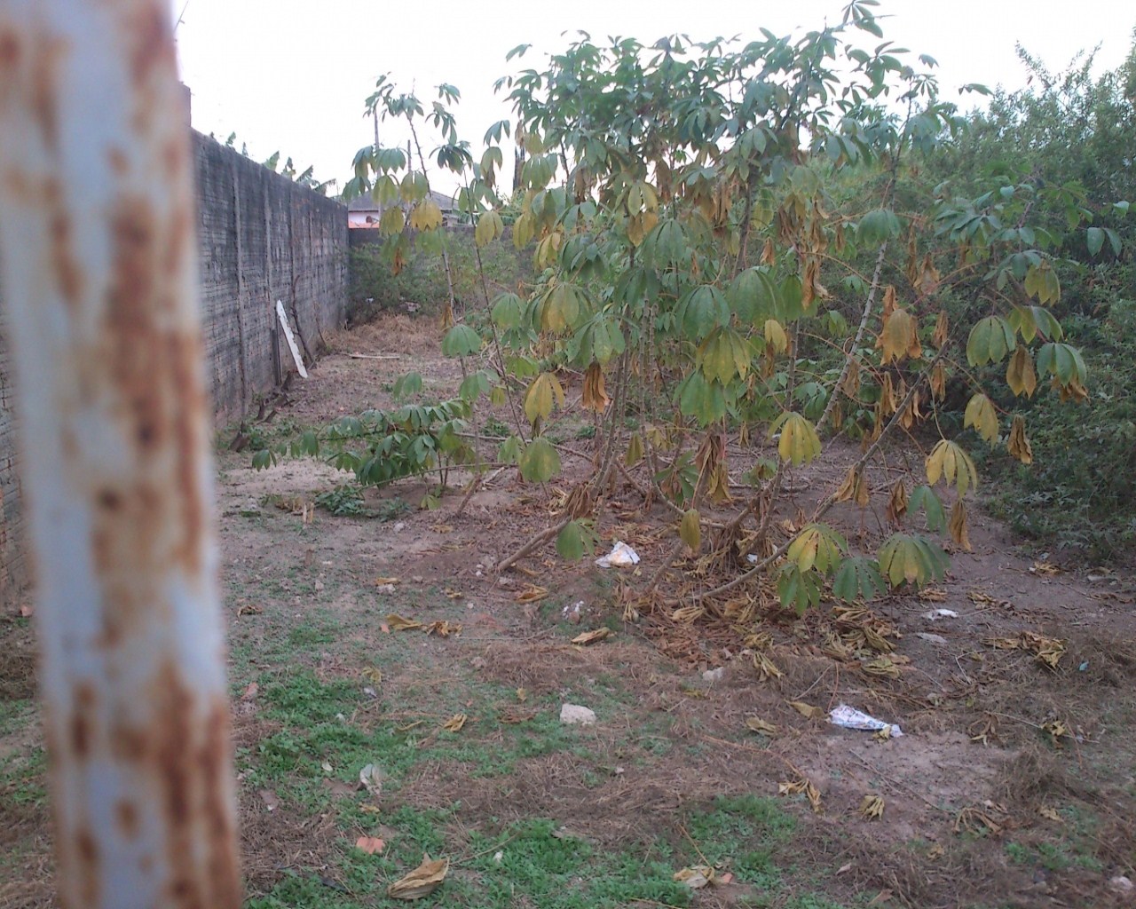 Terreno à venda - Foto 1