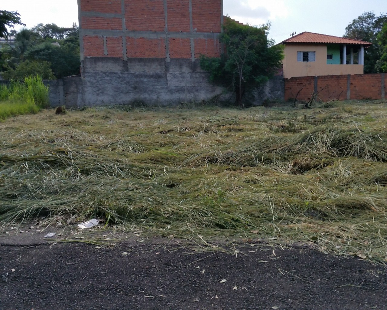 Terreno à venda - Foto 1