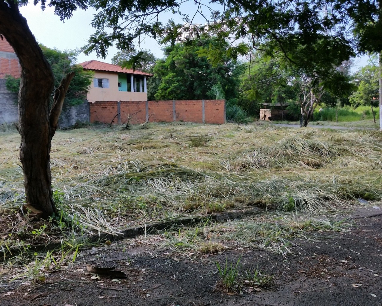 Terreno à venda - Foto 4