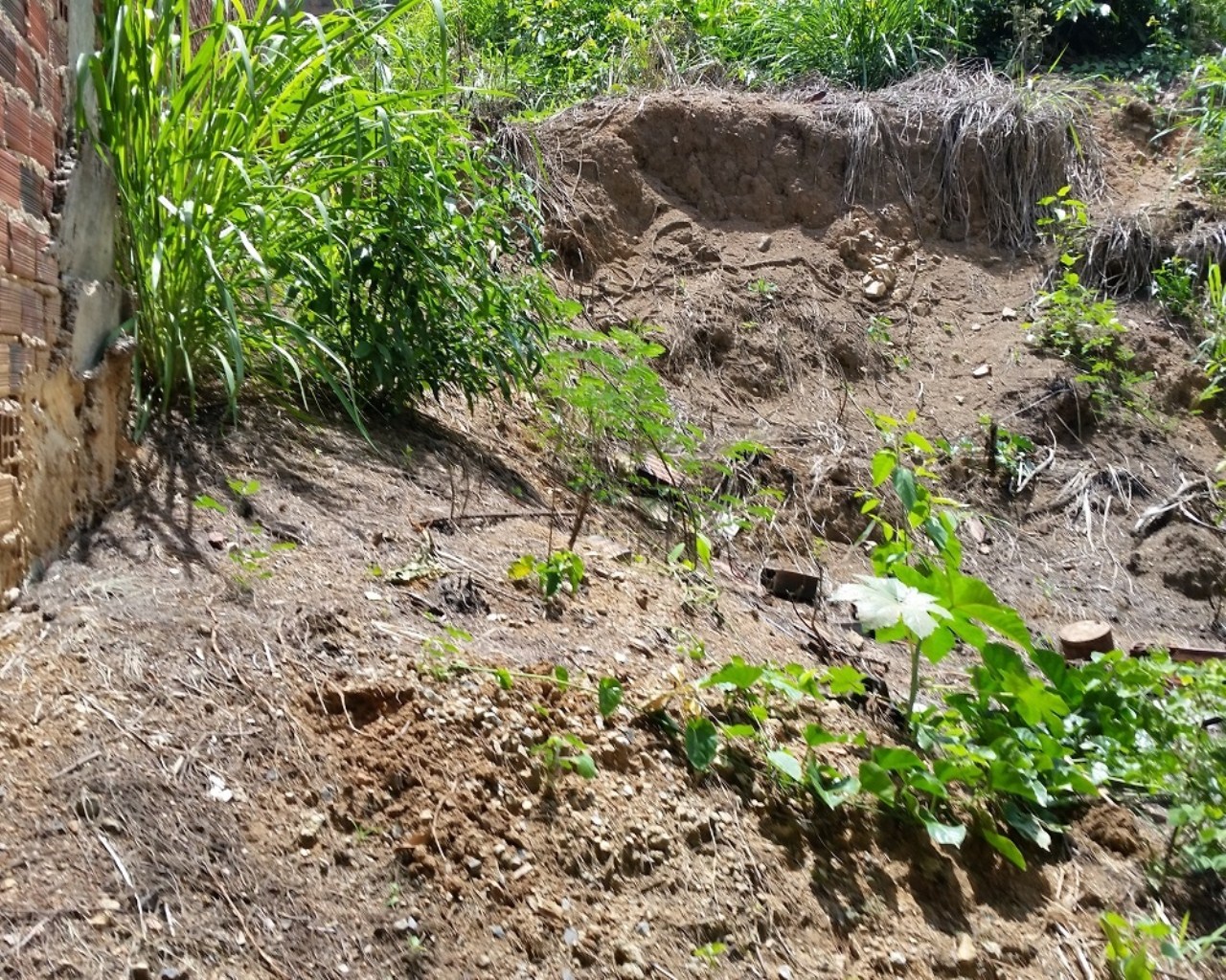 Terreno à venda - Foto 1