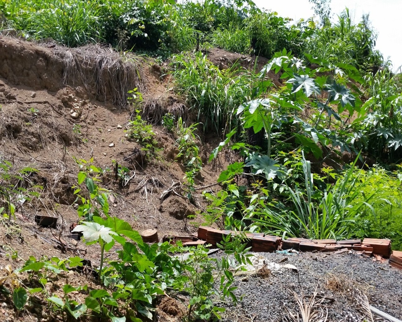 Terreno à venda - Foto 3