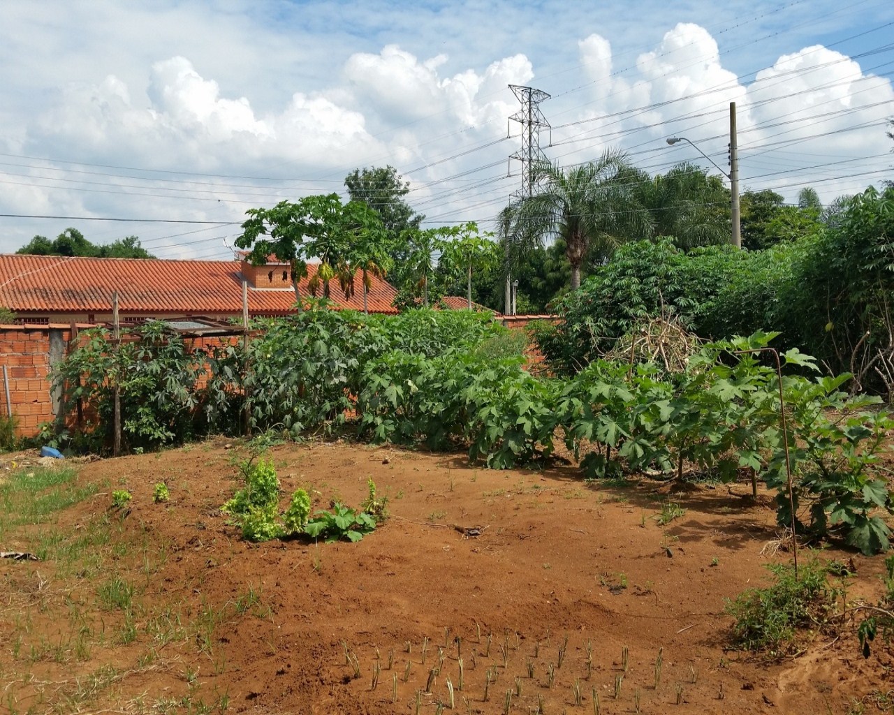 Terreno à venda - Foto 1