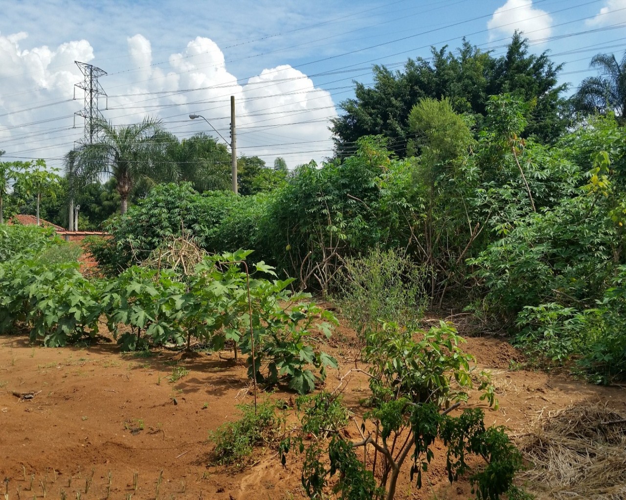 Terreno à venda - Foto 2