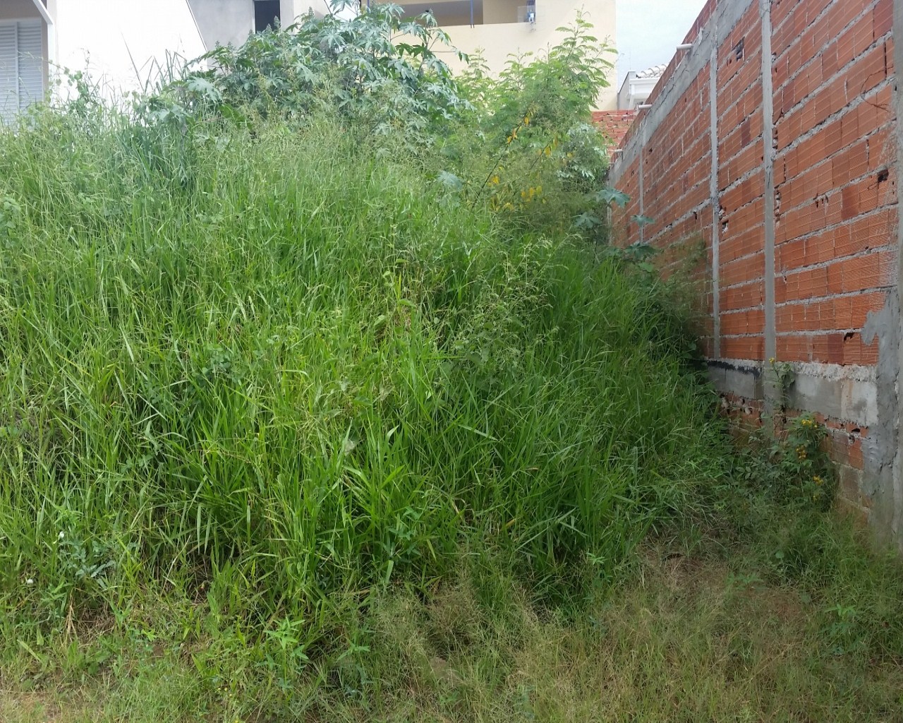 Terreno à venda, 200m² - Foto 1