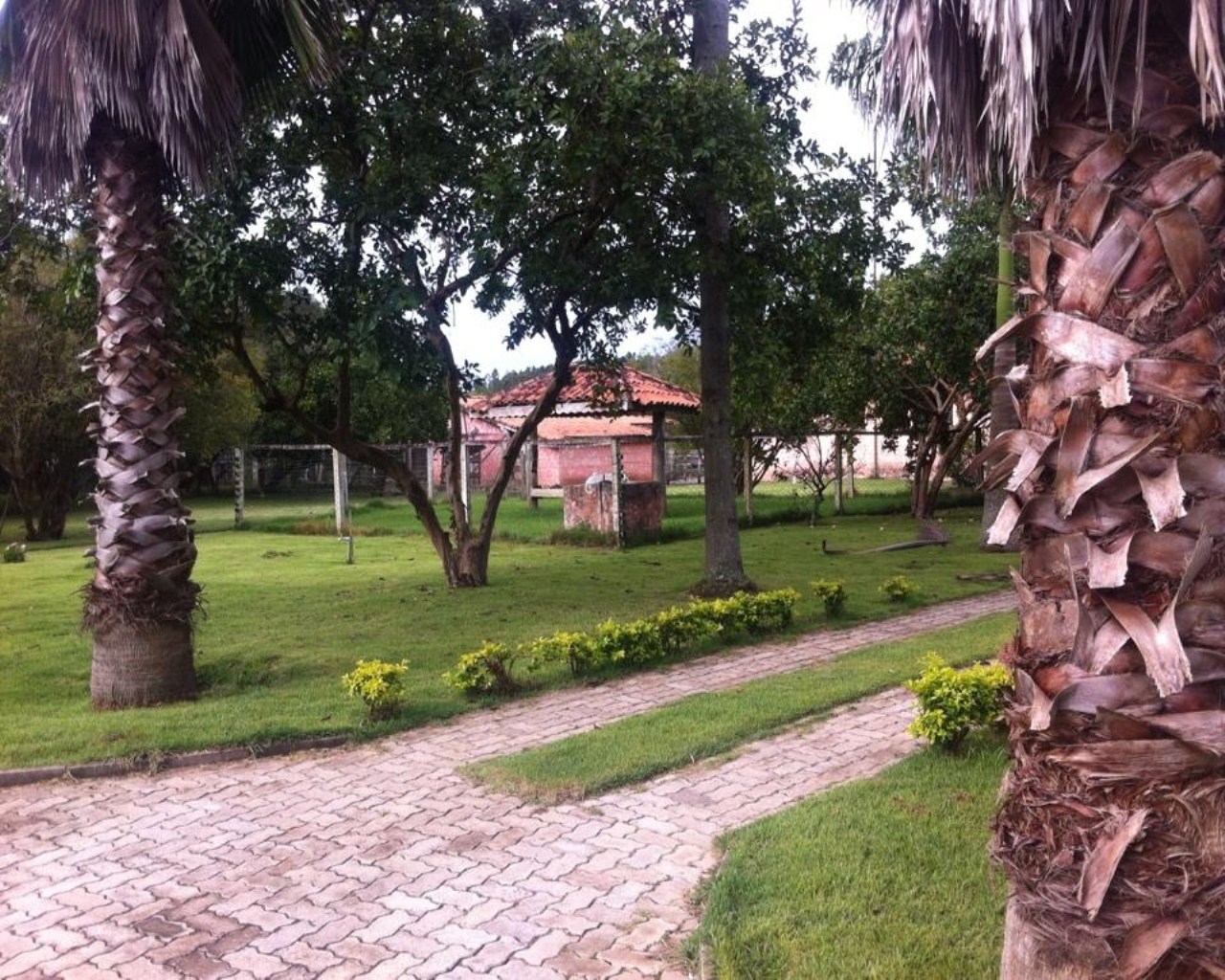 Fazenda à venda com 6 quartos, 1000m² - Foto 4