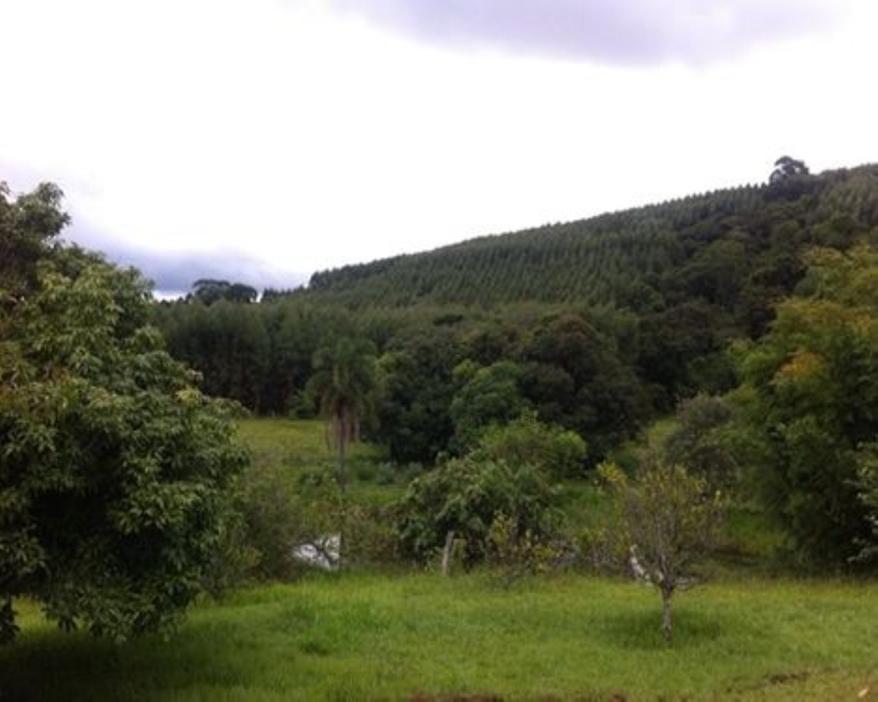 Fazenda à venda com 6 quartos, 1000m² - Foto 5