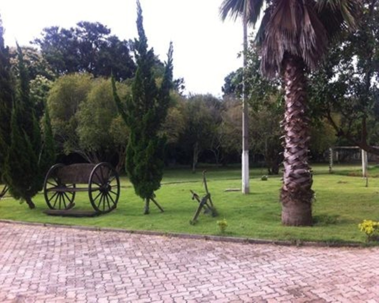 Fazenda à venda com 6 quartos, 1000m² - Foto 6