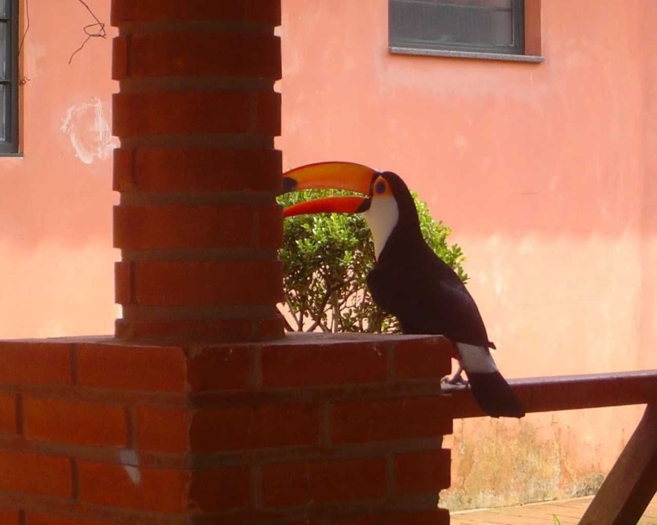 Fazenda à venda com 6 quartos, 1000m² - Foto 22