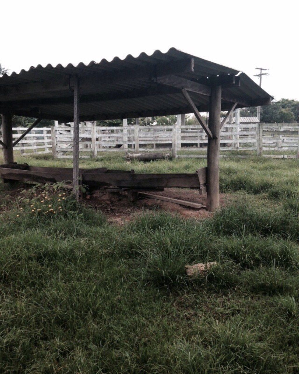 Fazenda à venda com 6 quartos, 1000m² - Foto 23