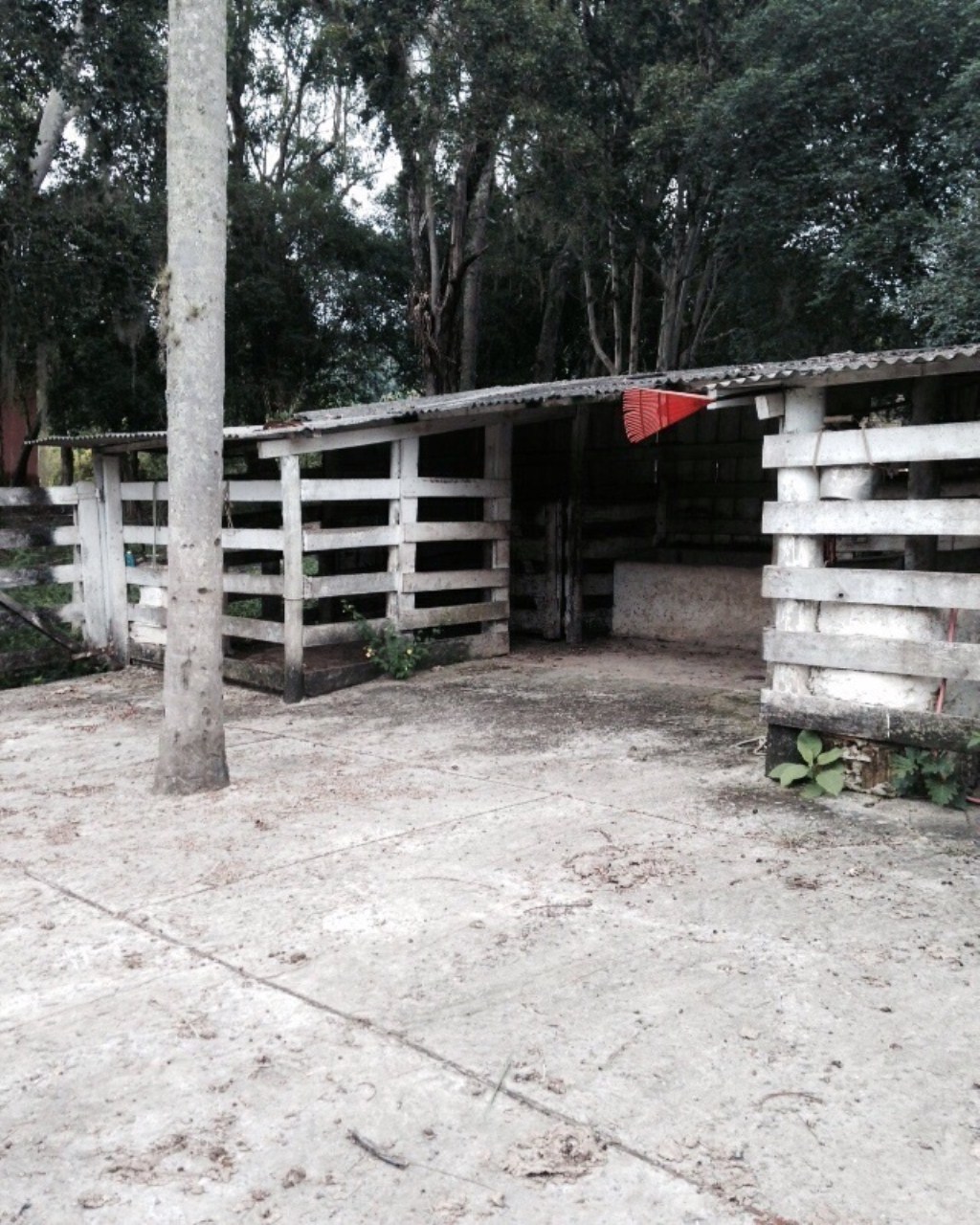 Fazenda à venda com 6 quartos, 1000m² - Foto 24