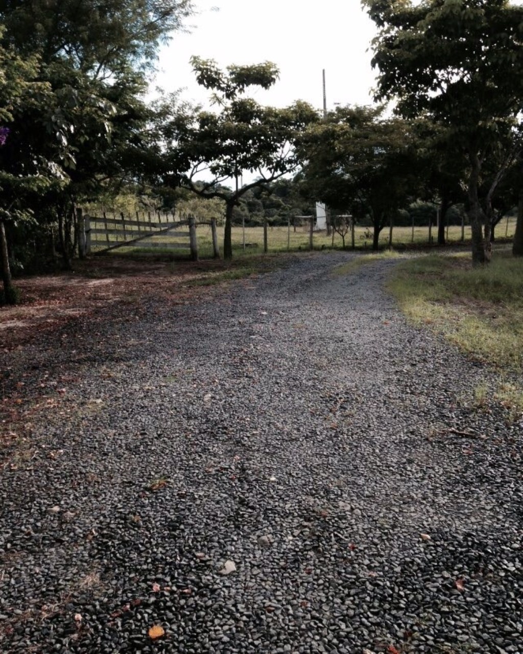 Fazenda à venda com 6 quartos, 1000m² - Foto 27