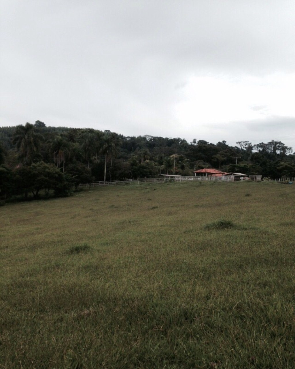 Fazenda à venda com 6 quartos, 1000m² - Foto 28