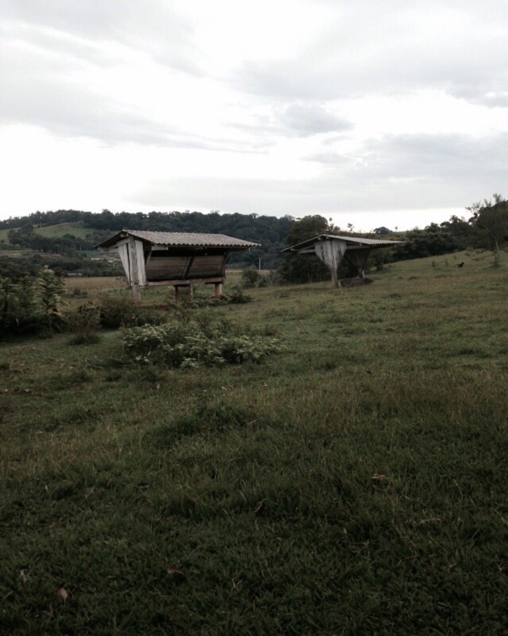 Fazenda à venda com 6 quartos, 1000m² - Foto 30