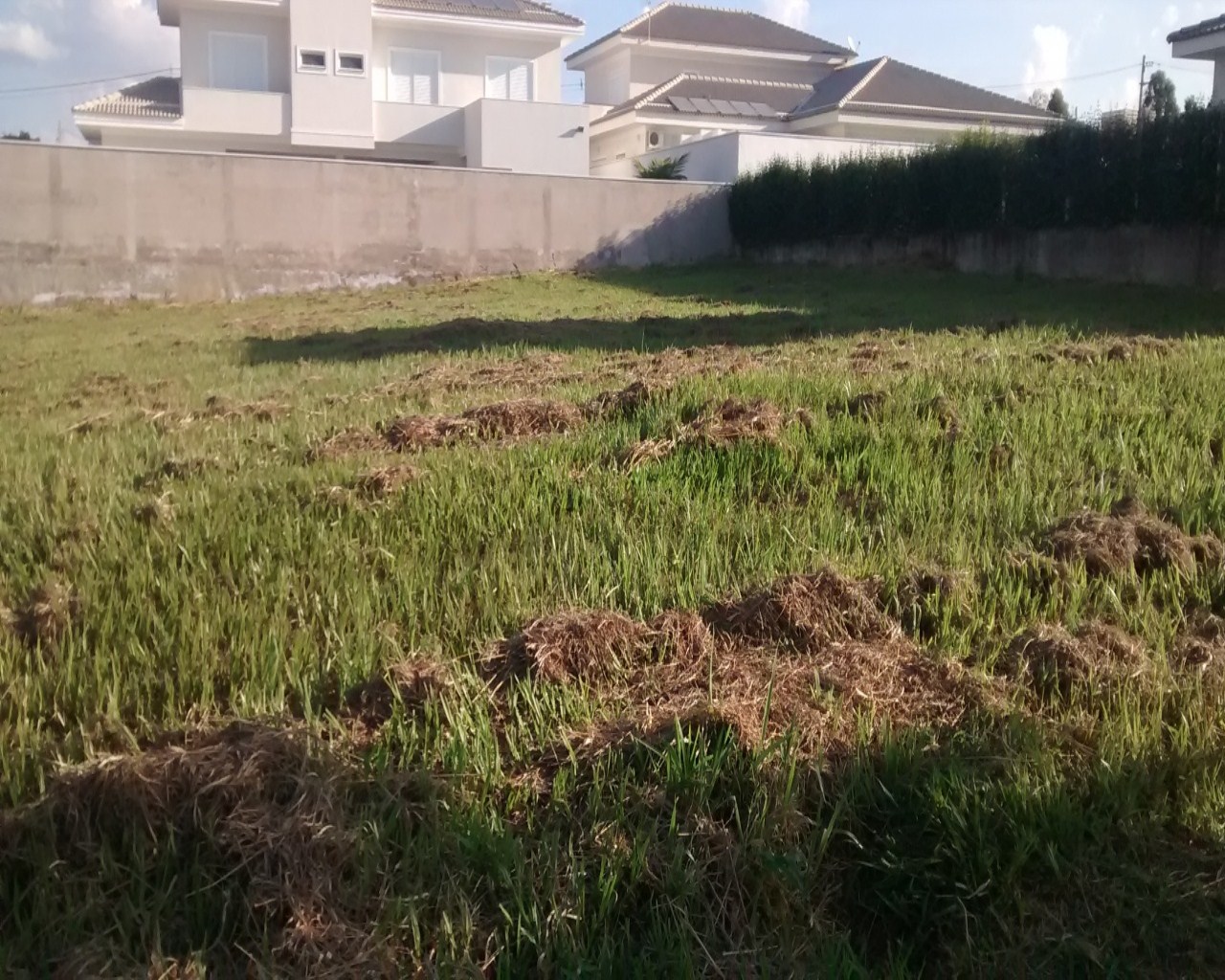 Terreno à venda, 800m² - Foto 3