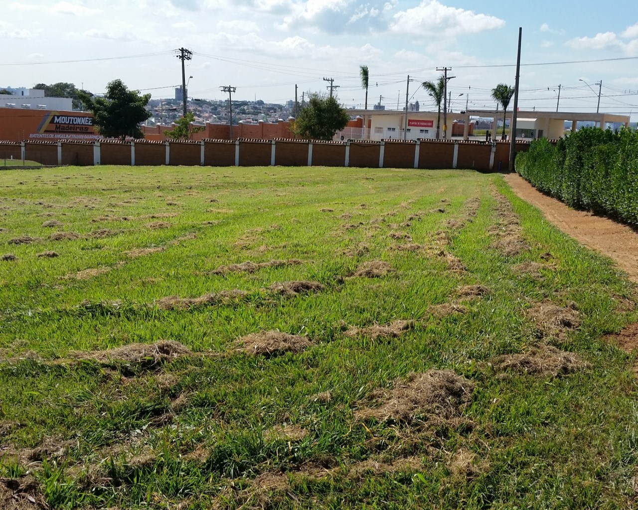 Terreno à venda - Foto 2