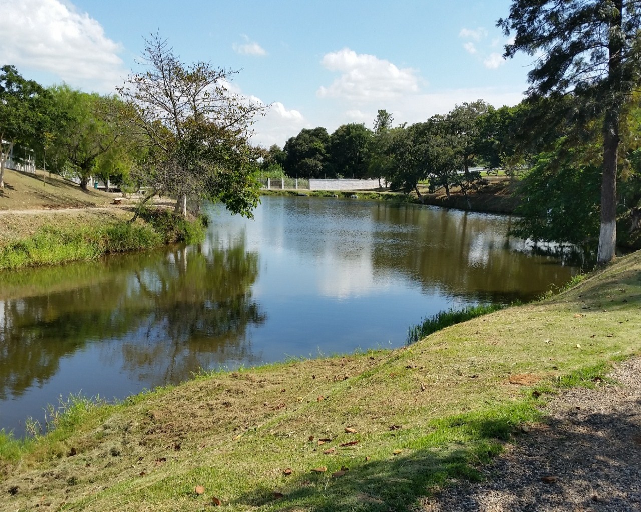 Terreno à venda - Foto 9