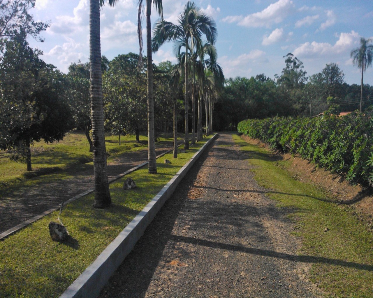 Fazenda à venda - Foto 1