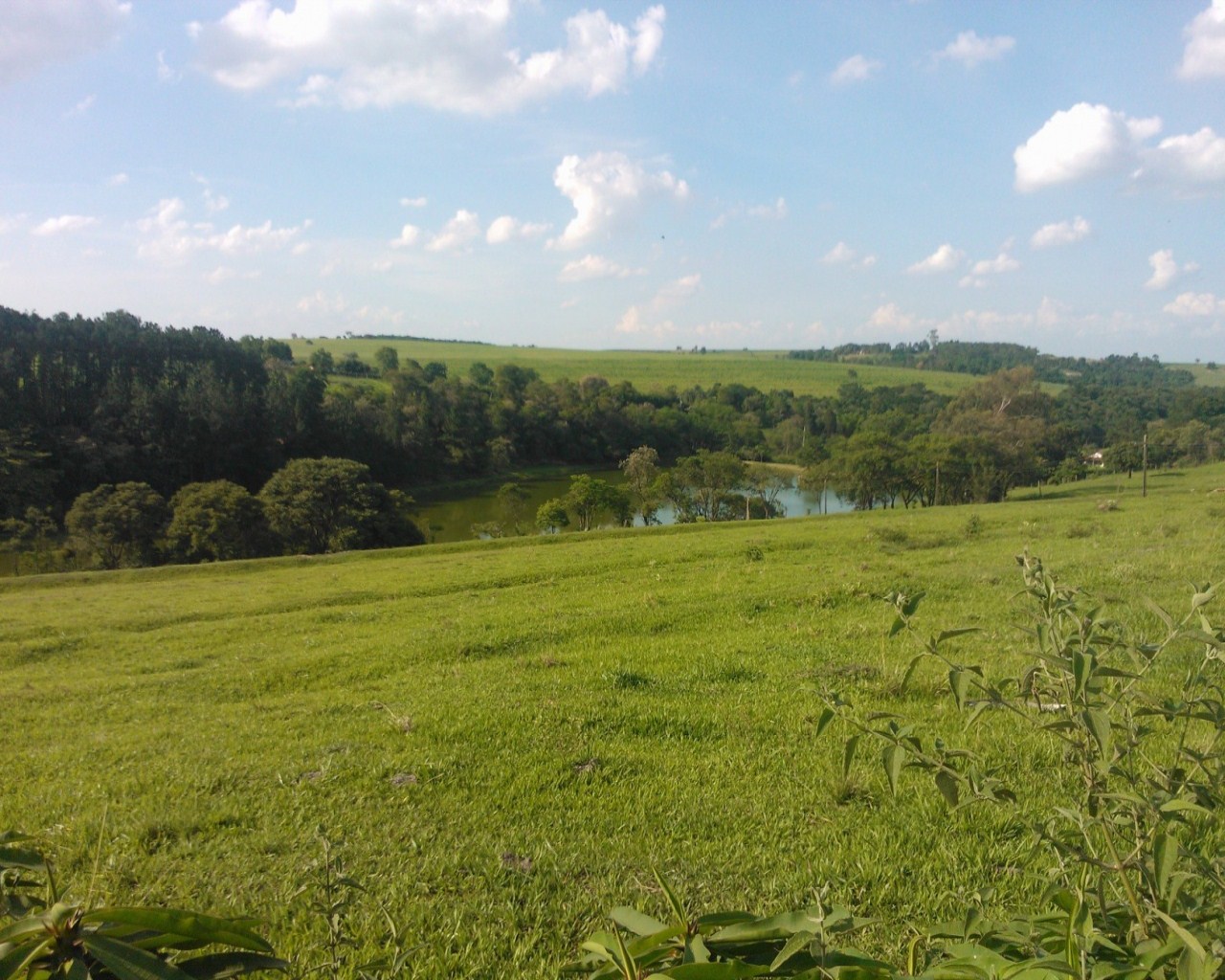 Fazenda à venda - Foto 11