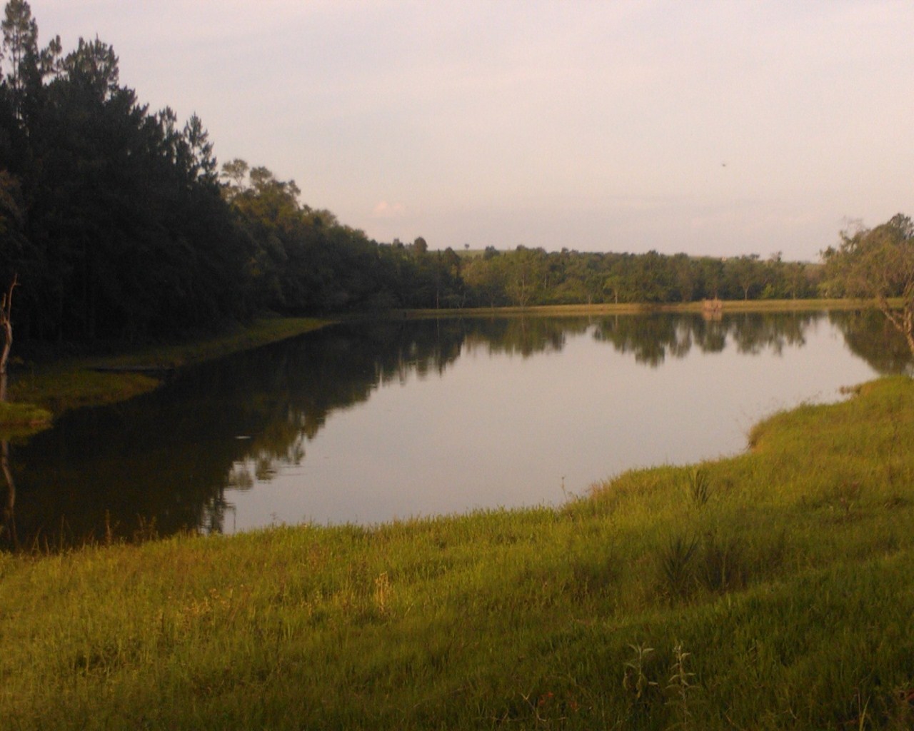 Fazenda à venda - Foto 12