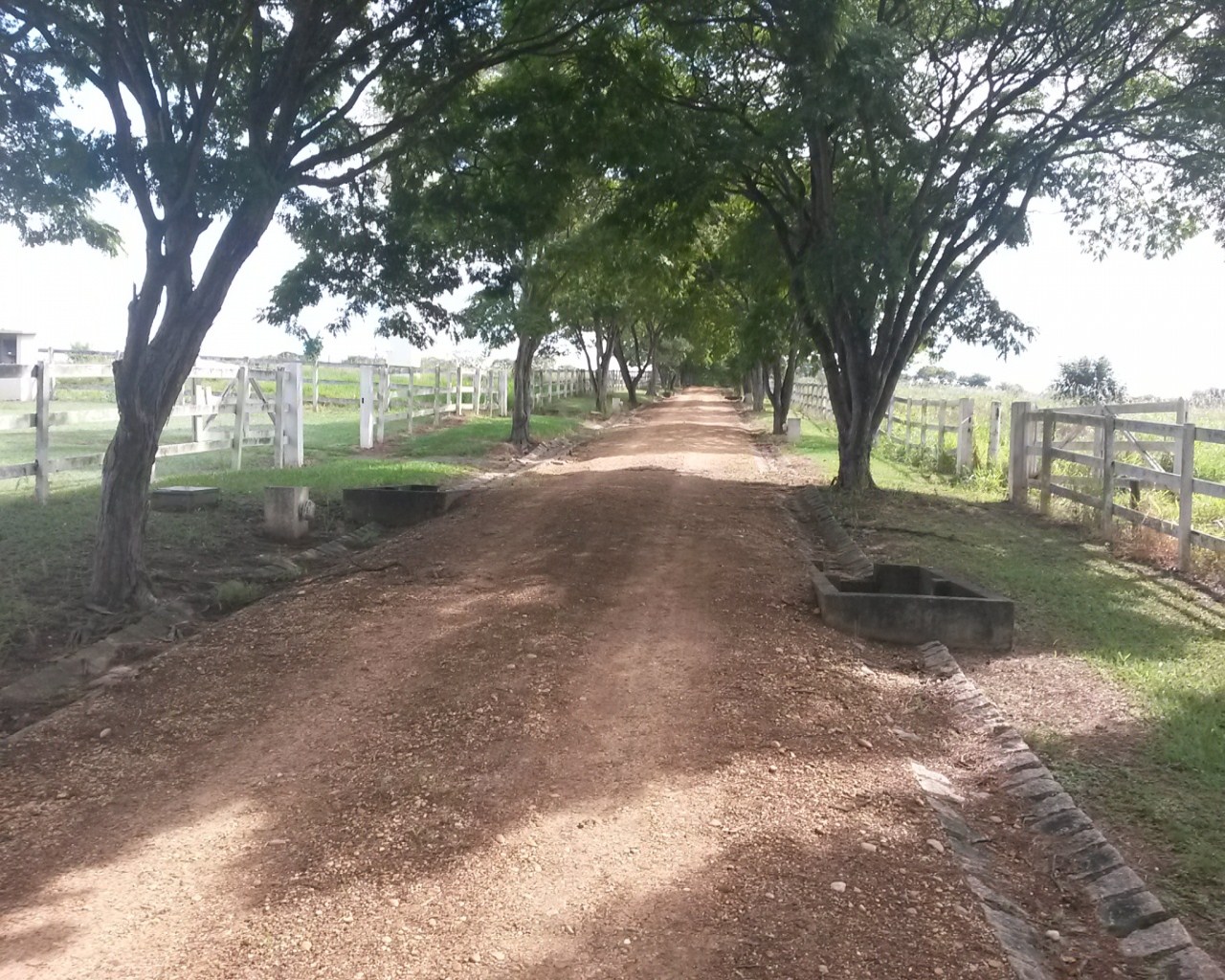 Casa à venda com 7 quartos, 1500m² - Foto 25