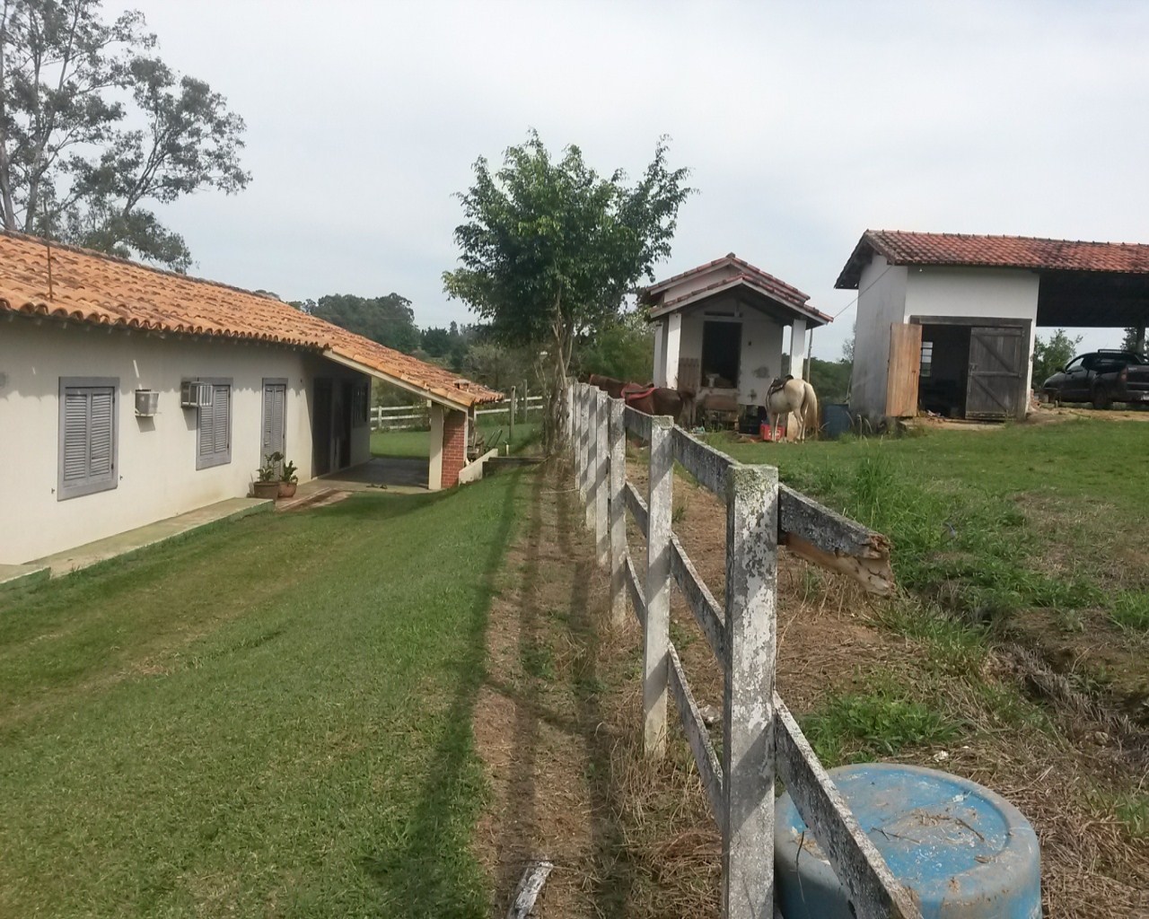 Casa à venda com 7 quartos, 1500m² - Foto 28