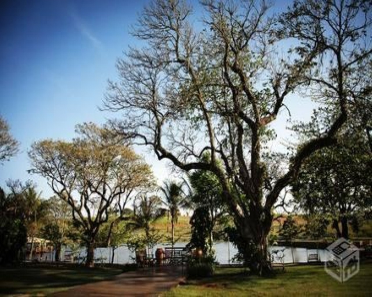 Terreno à venda - Foto 4