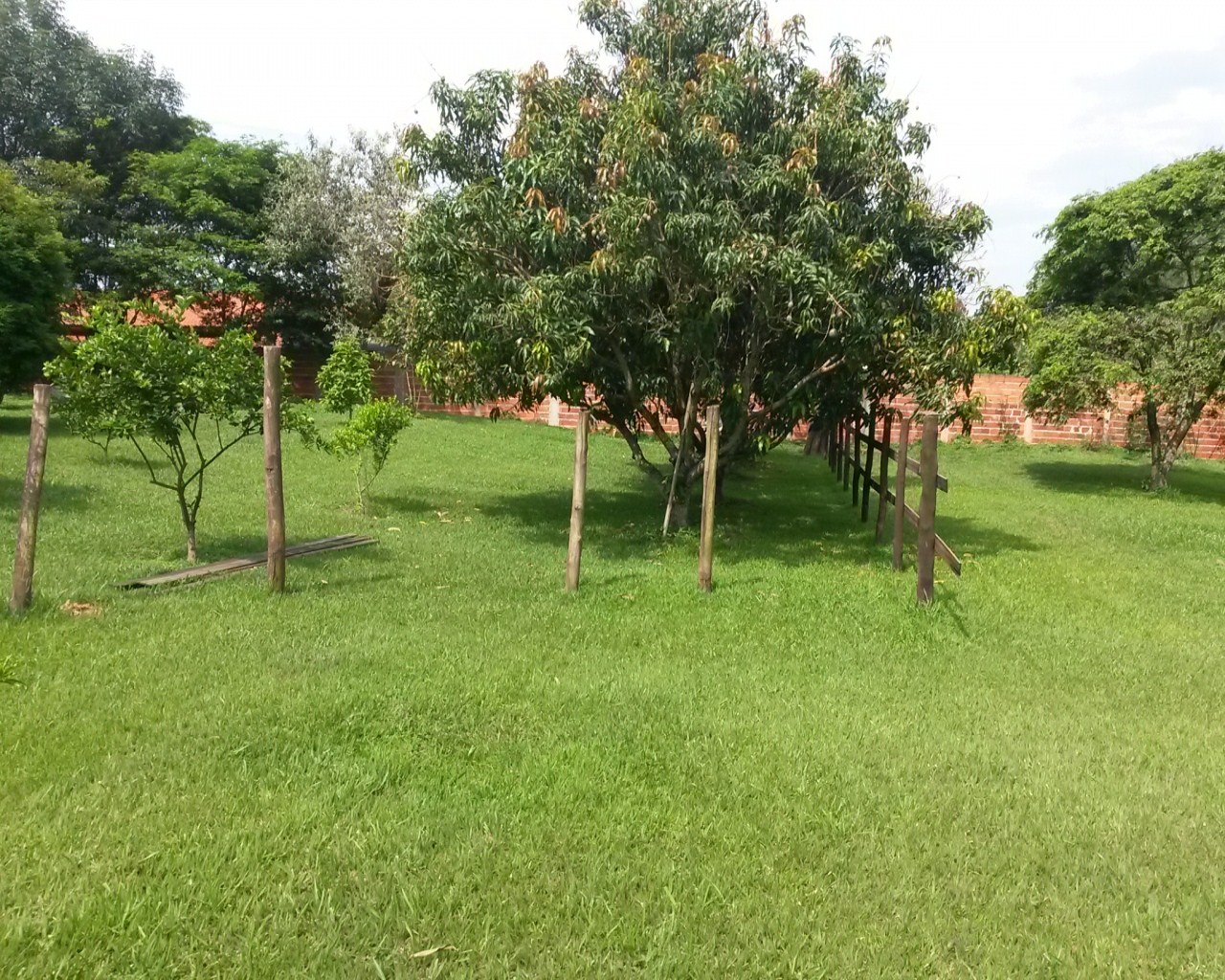 Fazenda à venda com 2 quartos, 80m² - Foto 12