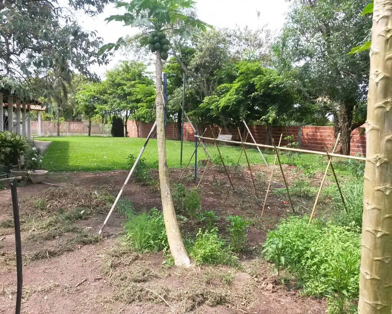 Fazenda à venda com 2 quartos, 80m² - Foto 13