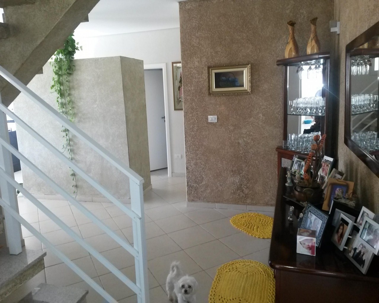 Casa à venda e aluguel com 4 quartos, 480m² - Foto 36