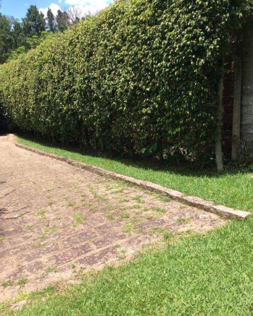 Fazenda à venda com 3 quartos, 400m² - Foto 3