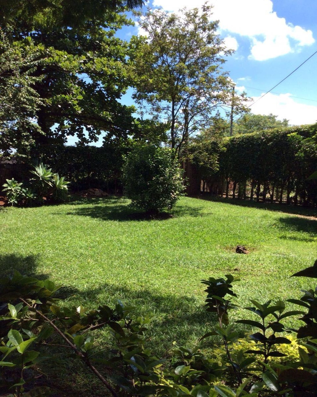 Fazenda à venda com 3 quartos, 400m² - Foto 12