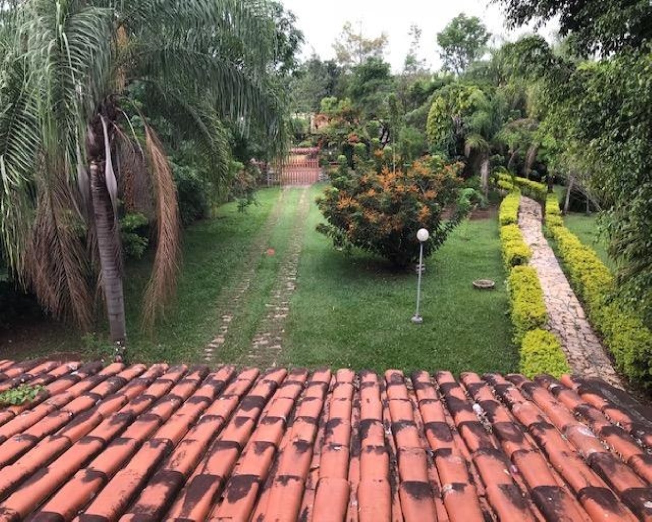 Fazenda à venda com 3 quartos, 500m² - Foto 49