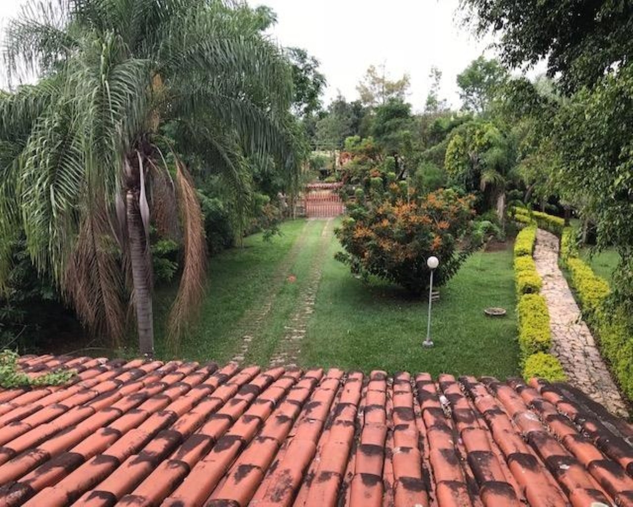 Fazenda à venda com 3 quartos, 500m² - Foto 51