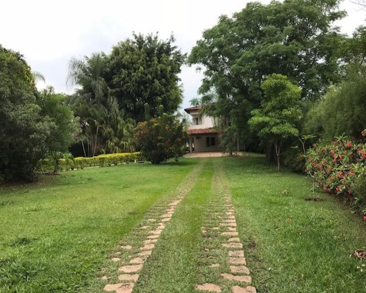 Fazenda à venda com 3 quartos, 500m² - Foto 54