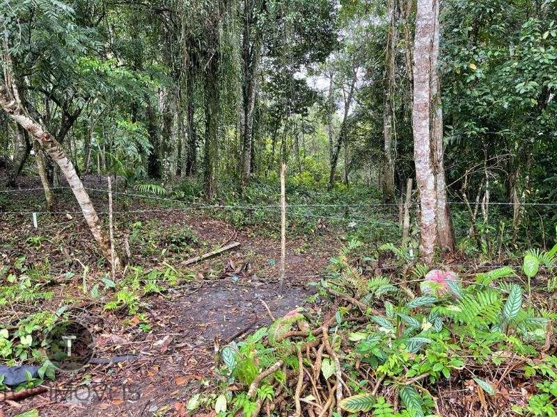 Terreno à venda, 2000m² - Foto 8