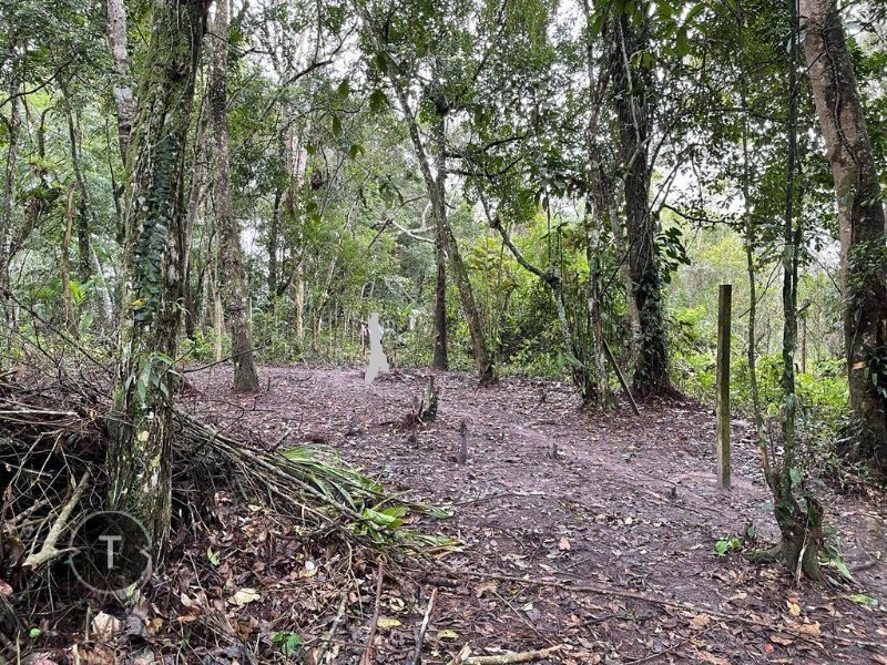 Terreno à venda, 2000m² - Foto 4