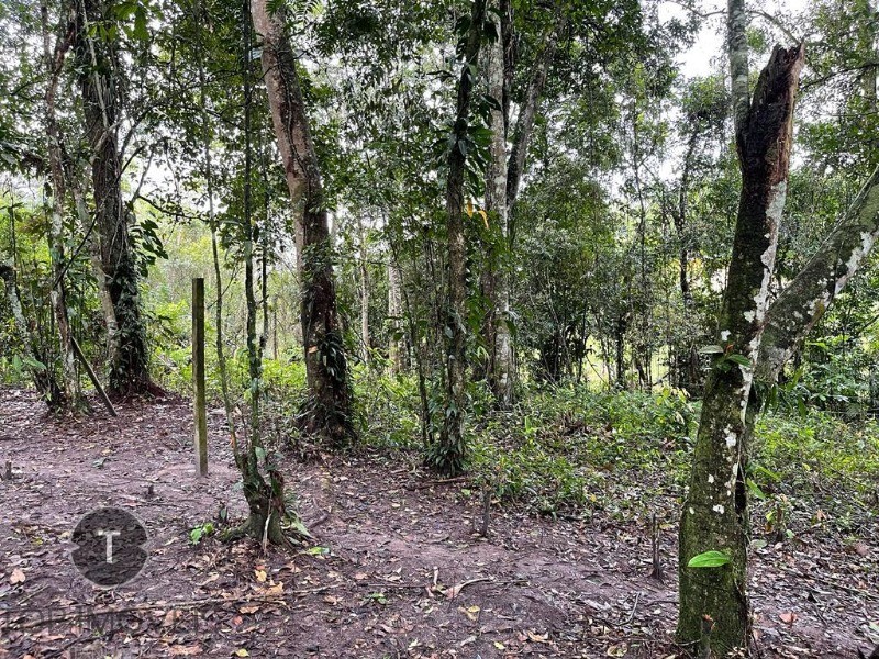 Terreno à venda, 2000m² - Foto 3